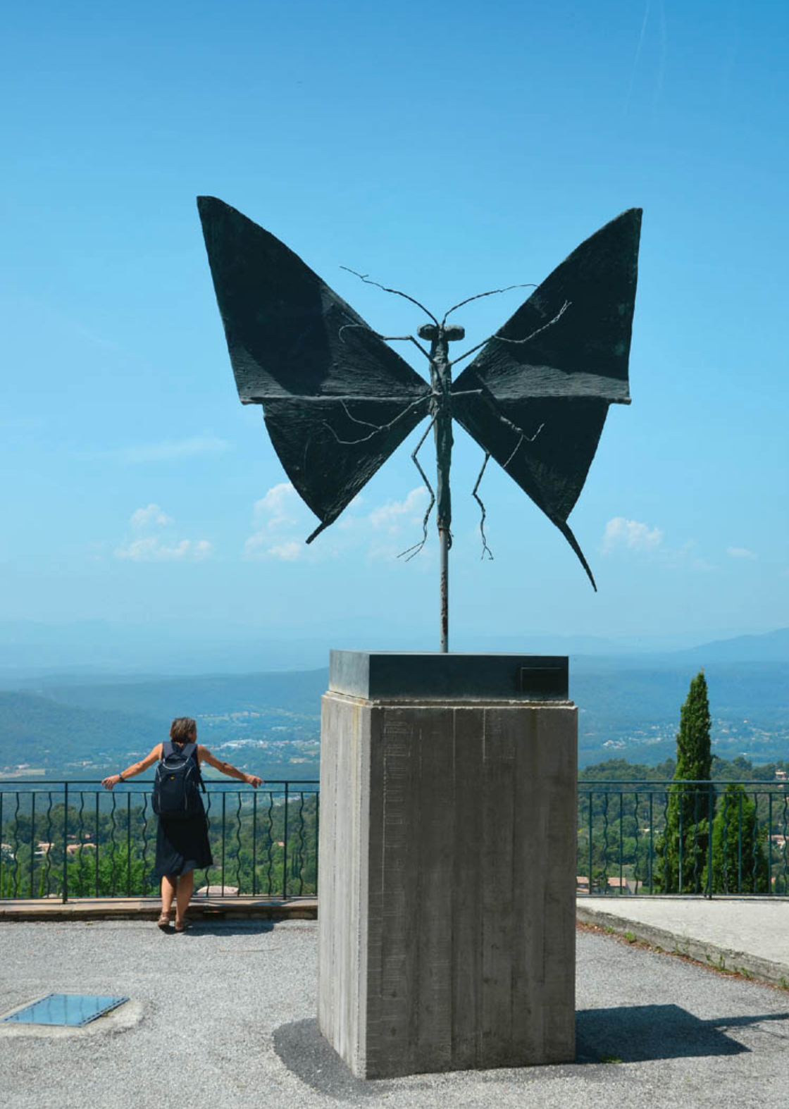 Der Schmetterling