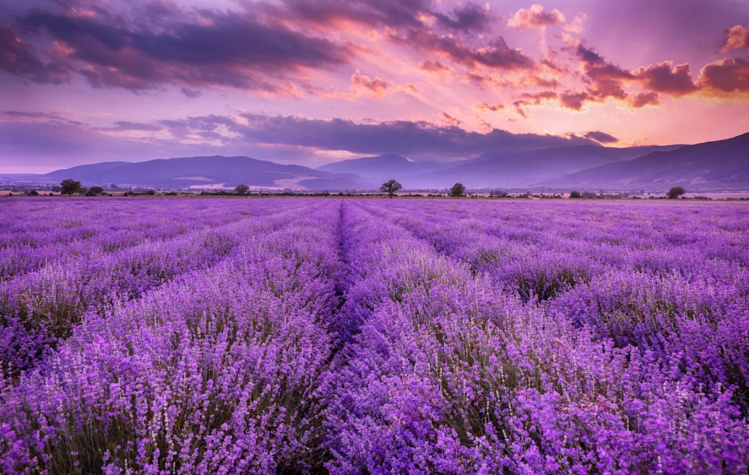 MyTravel Provence 2026